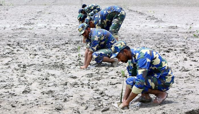 Pakistan Navy launches mangroves plantation campaign