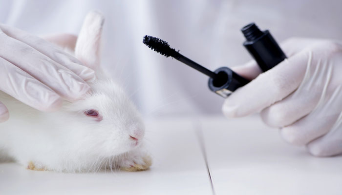 Pakistan raises voice against animal testing