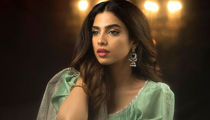 Sonya Hussain shares 'one of her best experiences' with Instagram followers