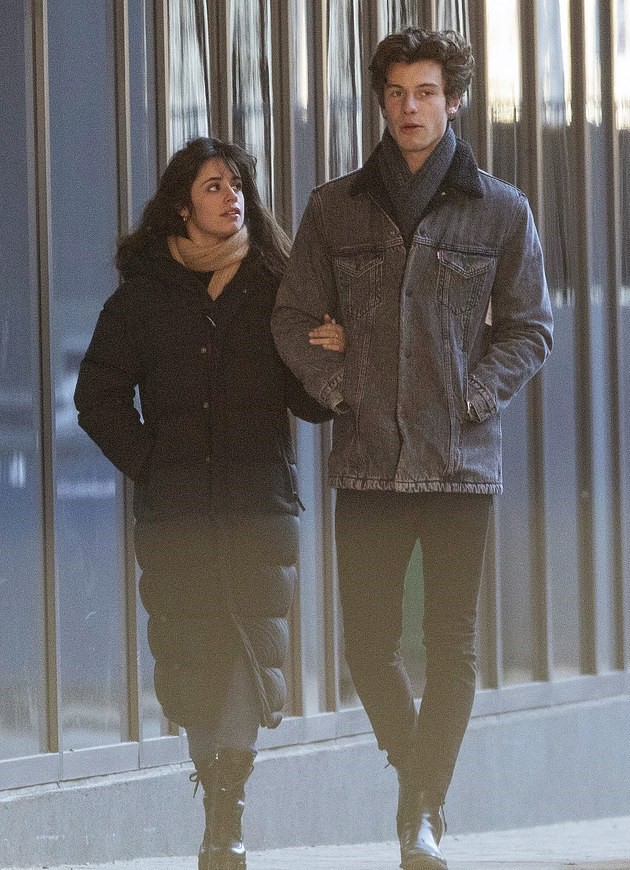 Camila Cabello Looks Completely Love Struck By Shawn Mendes Ahead Of New Year