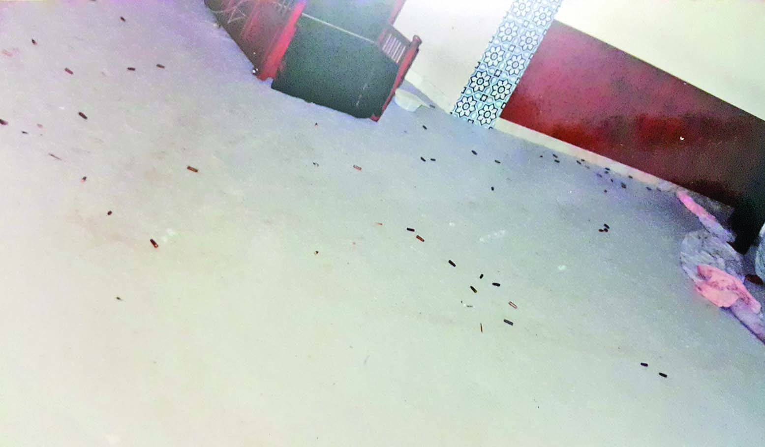 This file photo shows empty bullet shells at the scene of the 1995 shooting at an imambargah in PECHS.