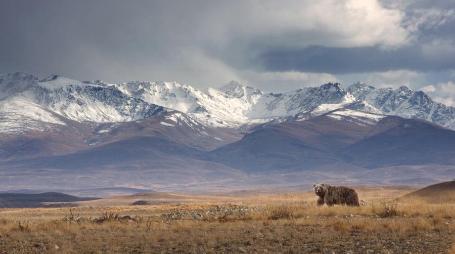 Deosai National Park