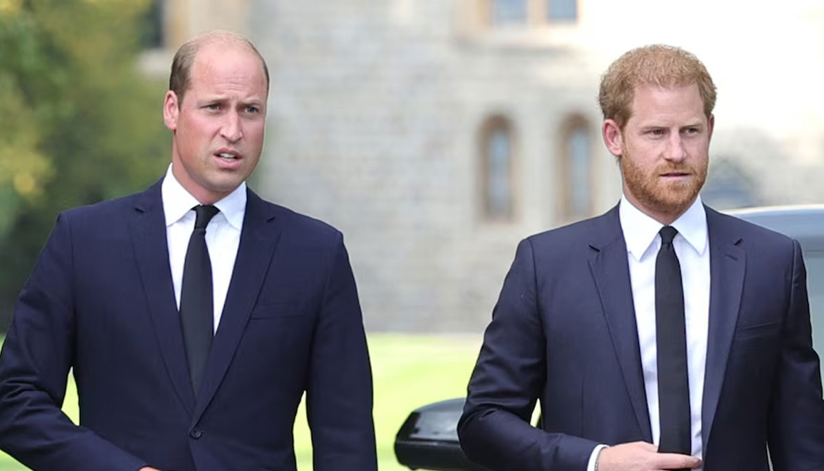 Why Harry, William’s feud may 'explode like dynamite' in 2026?