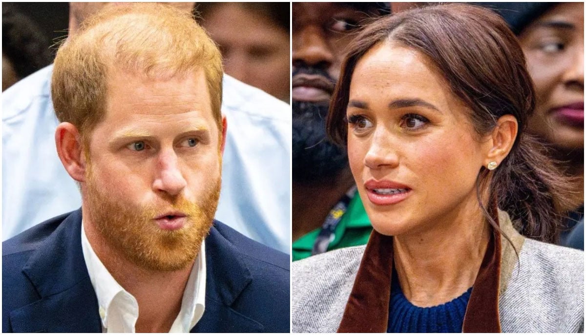 Prince Harry, Meghan Markle branded ‘abnormal’ in their troubles: ‘You’re a revolving door’