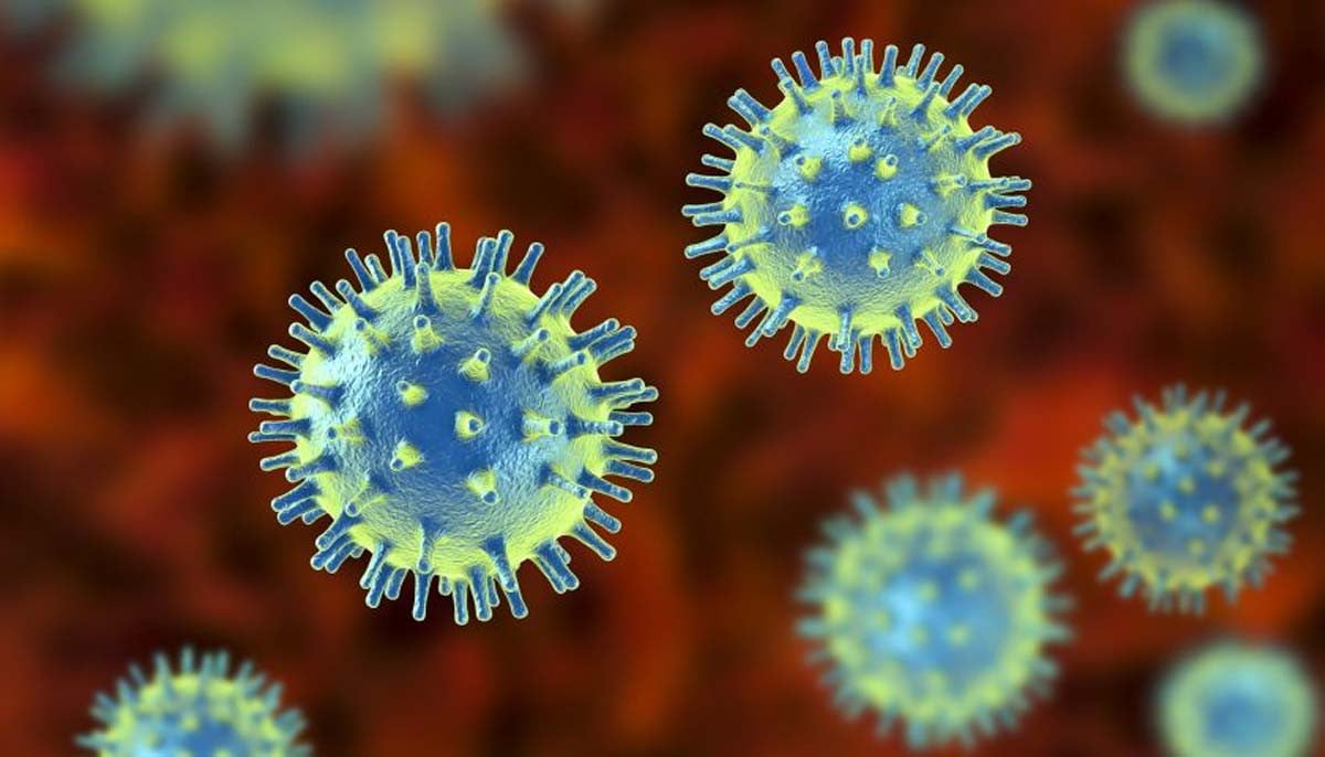 Three viruses you need to watch out for in 2026 