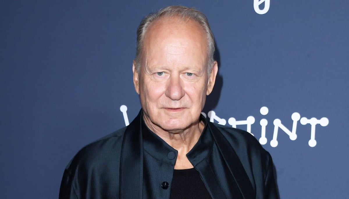Stellan Skarsgard teases 'Mamma Mia!' sequel plot detail