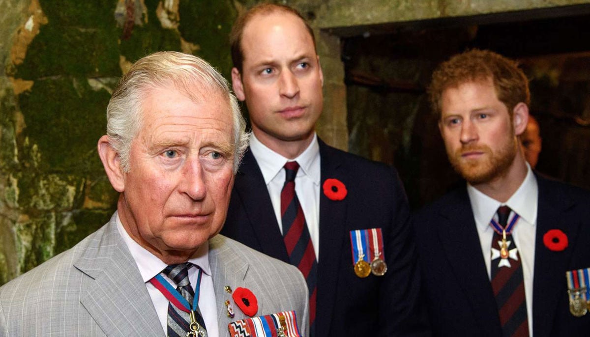 Friends of Prince William 'aghast' as King Charles offers olive branch to Harry, Meghan Markle