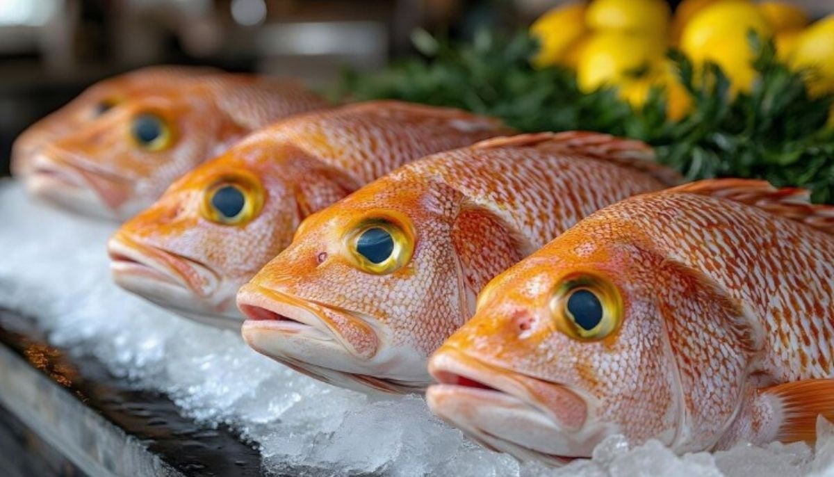 World's biggest fish market is set to open in Sydney: First look revealed