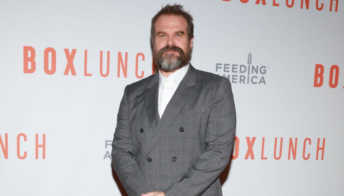'Stranger Things' star David Harbour opens up about manic episodes 