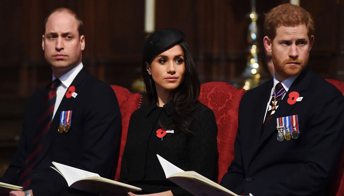 Buckingham Palace confirms Prince William will be in Bristol during Harry's UK trip