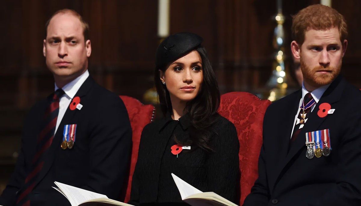 Prince William, Meghan Markle make parallel PR moves  