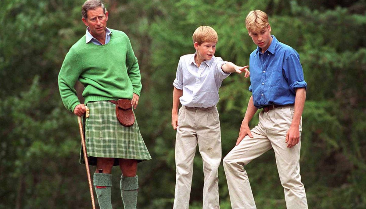 Prince Harry's peace talks with King Charles, Prince William: 'Ball is in Harry's court'