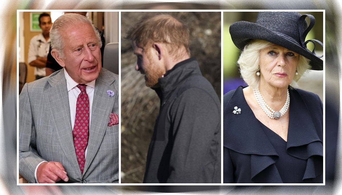 Prince Harry risks making King Charles choose between Queen Camilla and military duty