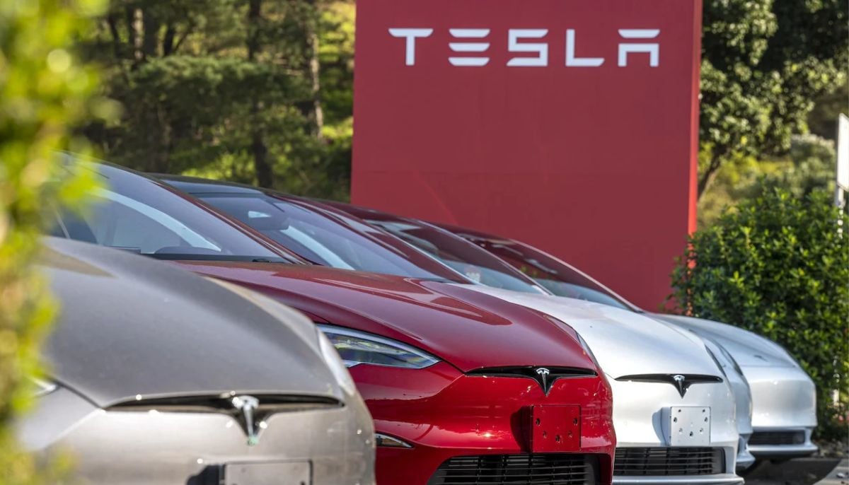 Tesla emerges early winner as Canada welcomes Chinese EVs: Here’s why 