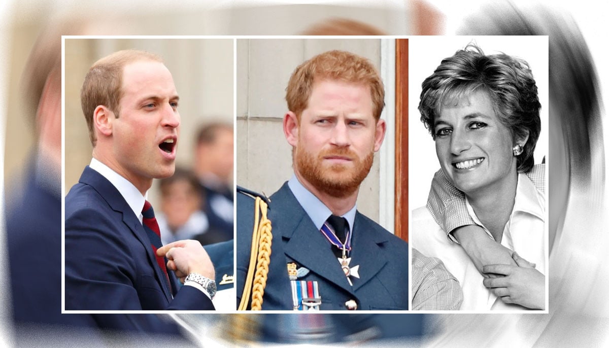 Prince William’s ‘failed’ mother Diana sparks another row with Prince Harry: ‘It’s crossing a line’