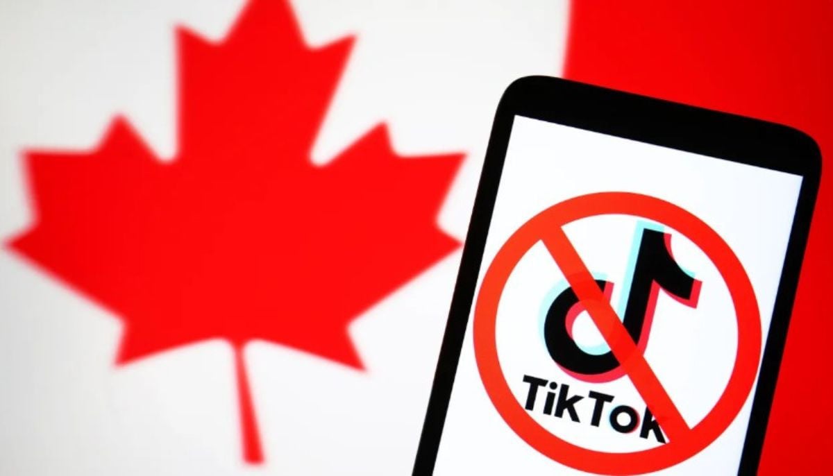Court allows TikTok to operate in Canada pending review