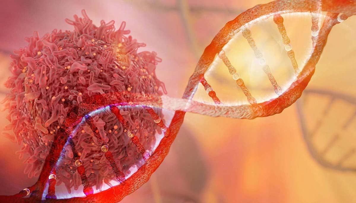 Why cancer comes back and how scientists believe it can be stopped