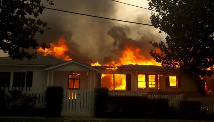 Dog dies after Florida woman allegedly sets neighbour’s house on fire