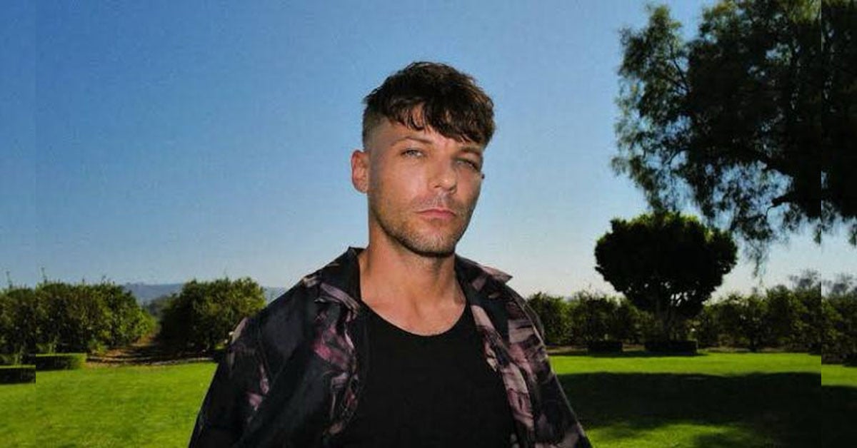 Louis Tomlinson admits going solo after 'One Direction' was 'intimidating'