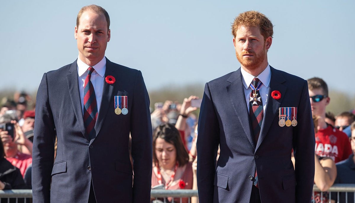 Prince William vows to use all his power to block Prince Harry’s next project