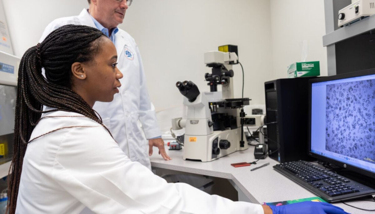 Pancreatic cancer breakthrough: Study shows tumour regression, raising new hope