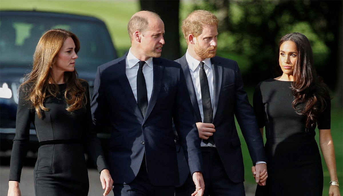 'Determined' Prince William sees Meghan Markle, Harry a 'real threat'