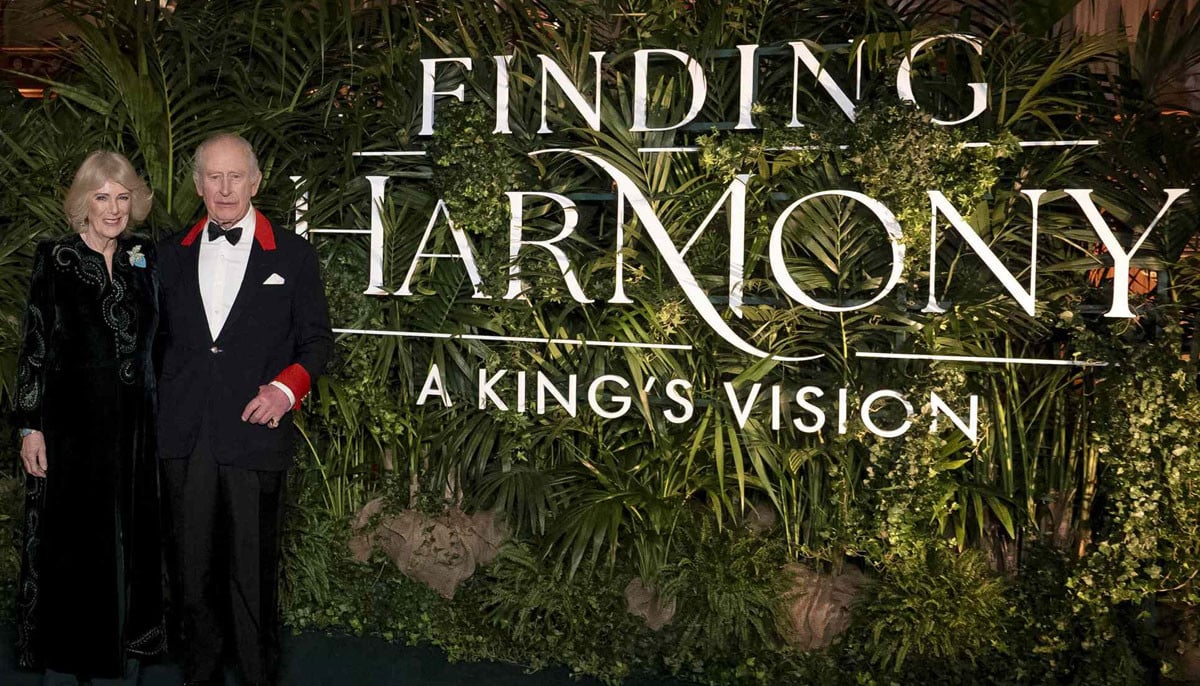 King Charles shows snippets from a magical evening at Windsor Castle: Video