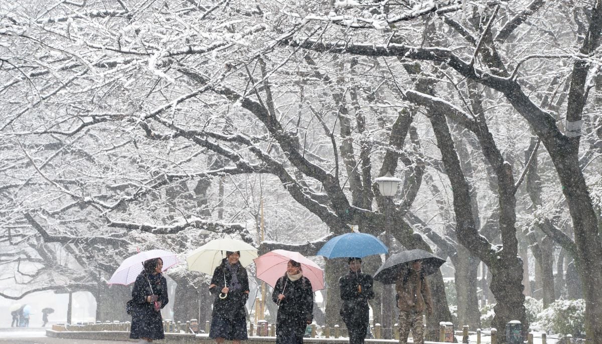 Japan: Heavy snowstorms threaten voter turnout ahead of midwinter election