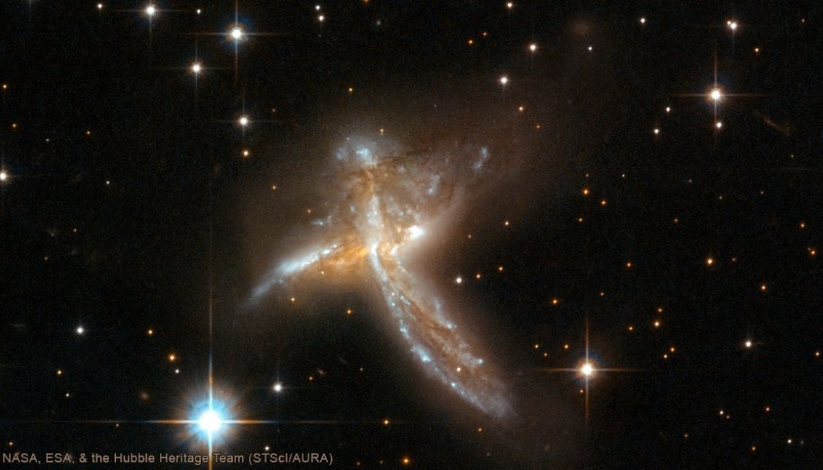 NASA’s Hubble sparks viral buzz with bird-shaped illusion in deep space