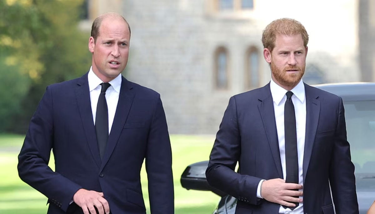 Prince William urged to offer olive branch to Harry for future of monarchy