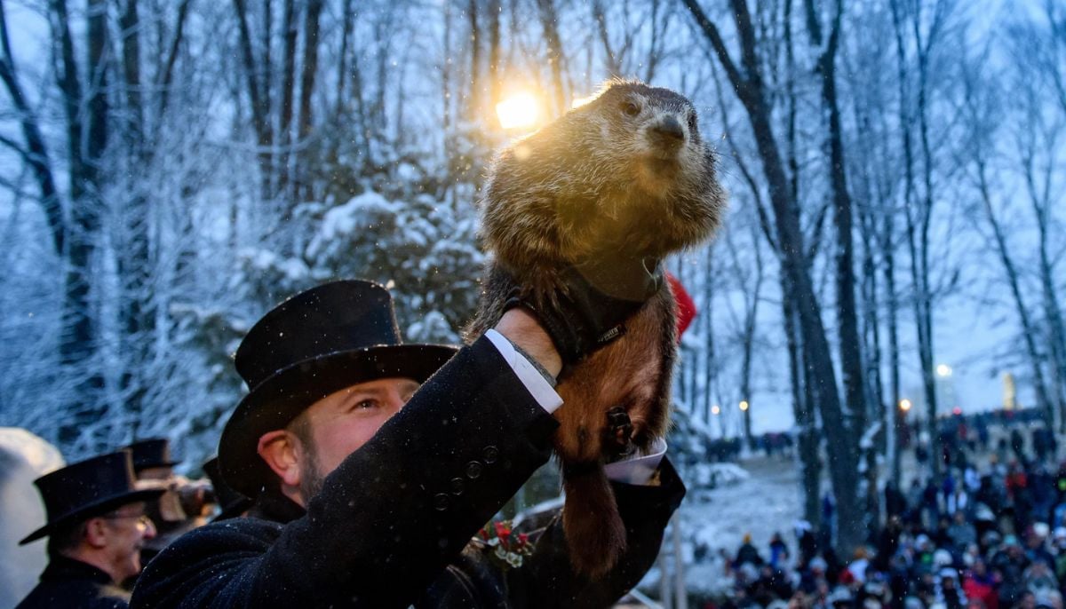 Groundhog Day vs Science: How accurate are Punxsutawney Phil’s predictions