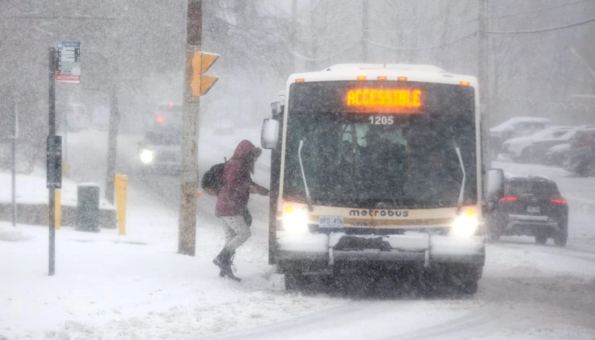 Weather snow storm shuts down metro Newfoundland as heavy snow hits