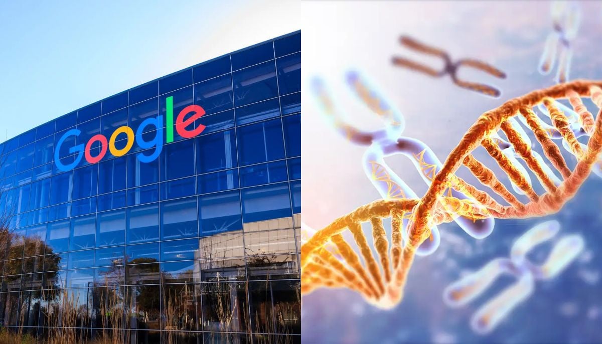 Google’s AI aims to prevent extinction by preserving endangered species’ DNA