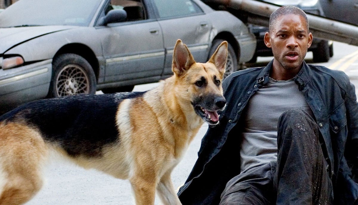Will Smith couldn't make this dog part of his family: Here's why