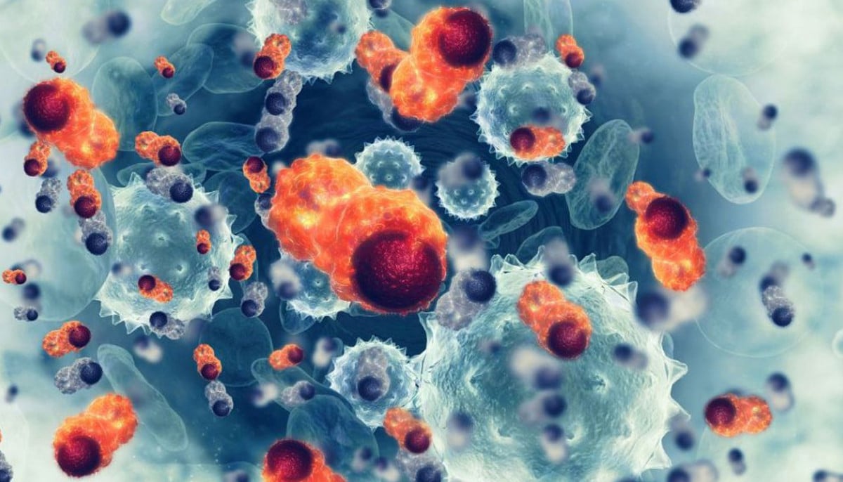 Prevent cancer with these simple lifestyle changes