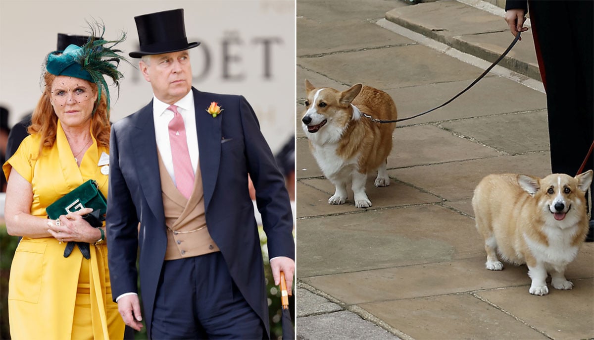 Andrew, Sarah Ferguson refuse King Charles request: 'Raising eyebrows inside Palace'