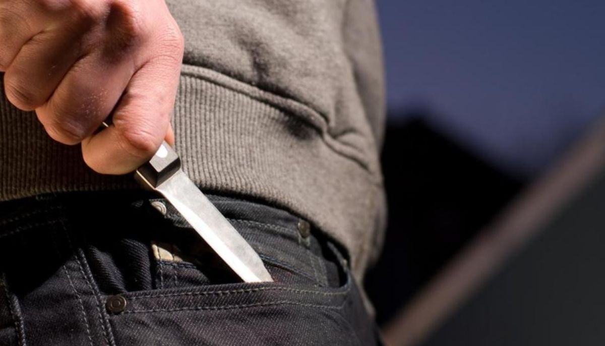 Girl and grandfather attacked in knife assault outside Los Angeles home