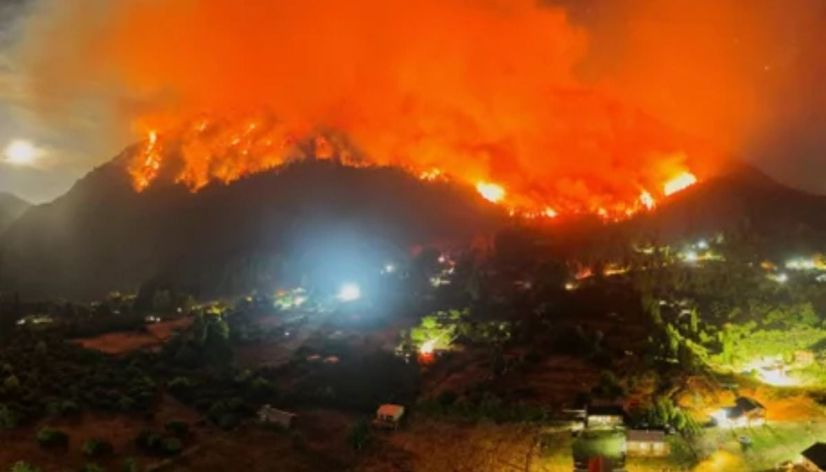 Climate-driven wildfires scorch some of world’s oldest trees in Patagonia