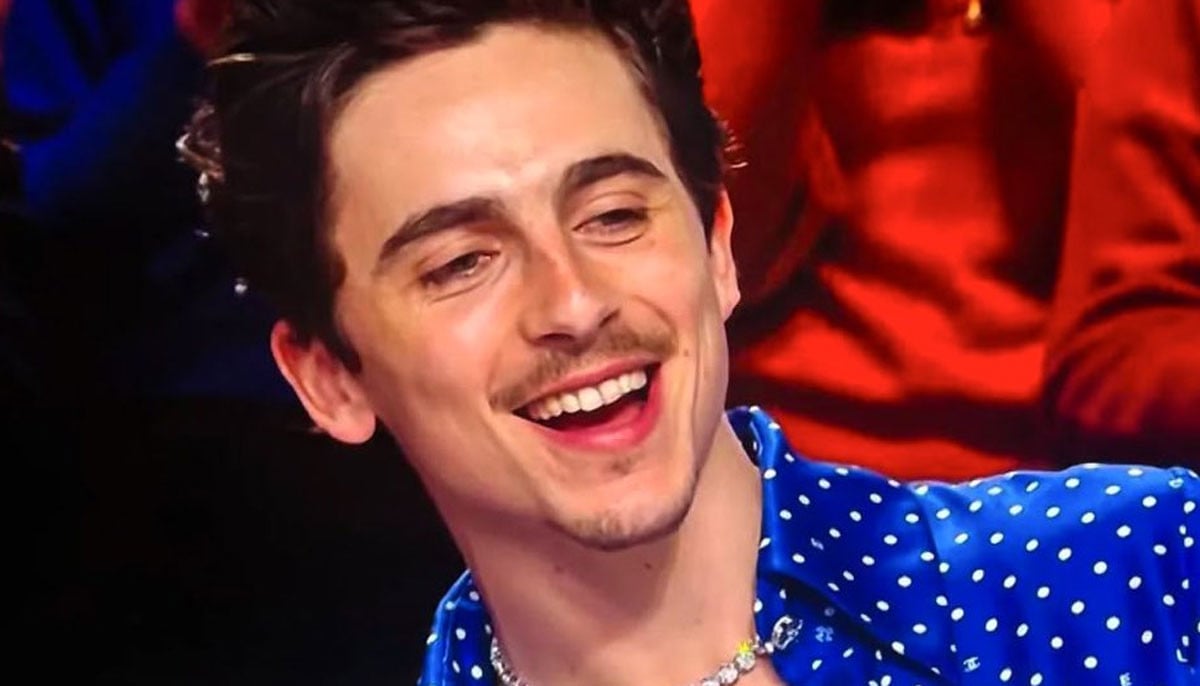 Timothée Chalamet turns head on the 'show with good lighting'   