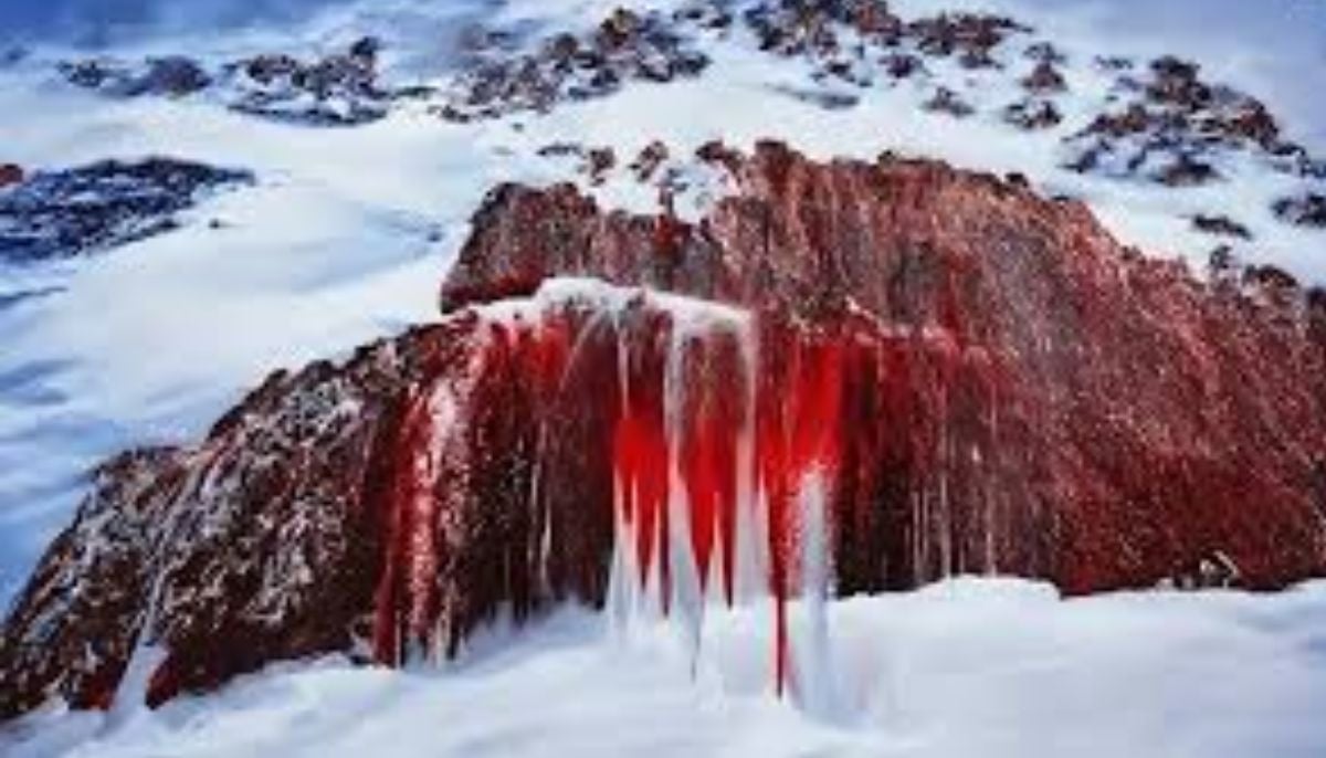 Blood Falls in Antarctica? What causes the mysterious red waterfall hidden in ice