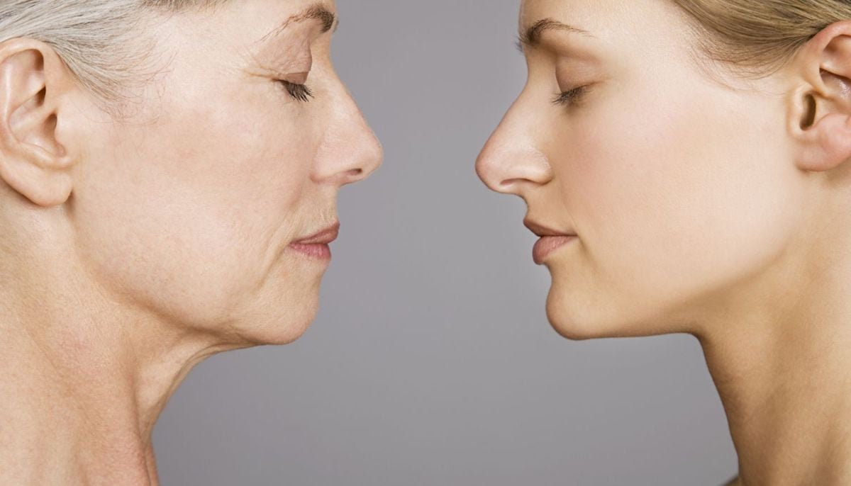 Can humans reverse aging? Harvard scientist predict revolutionary breakthrough