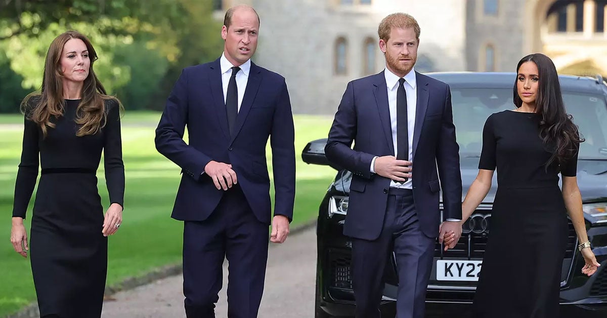 Why Prince William grew concerned about Meghan Markle's conduct shortly after her royal wedding with Harry?
