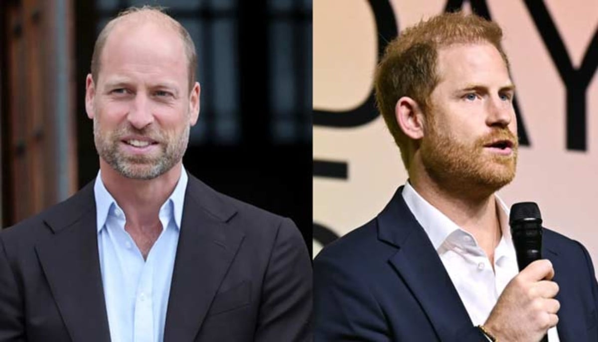 Prince Harry is lowest on Prince William ‘priority list’ amid crisis 