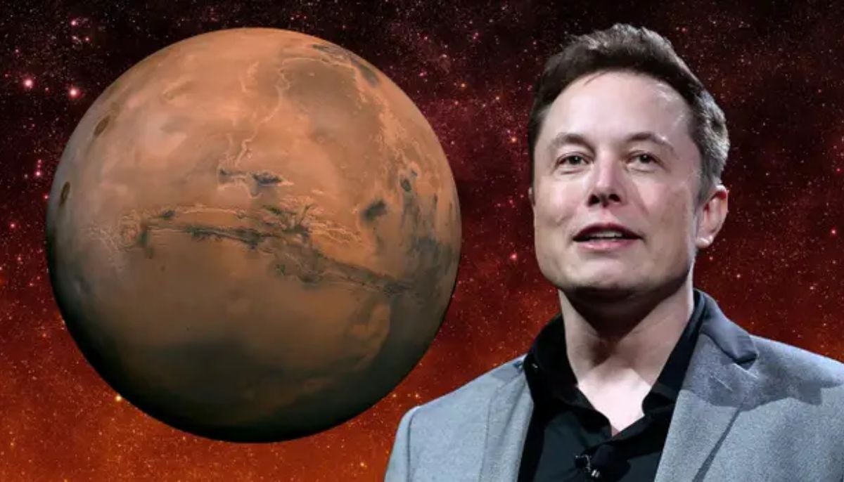 ‘Mouse Utopia’ collapse shows the need for space colonies, says Elon Musk