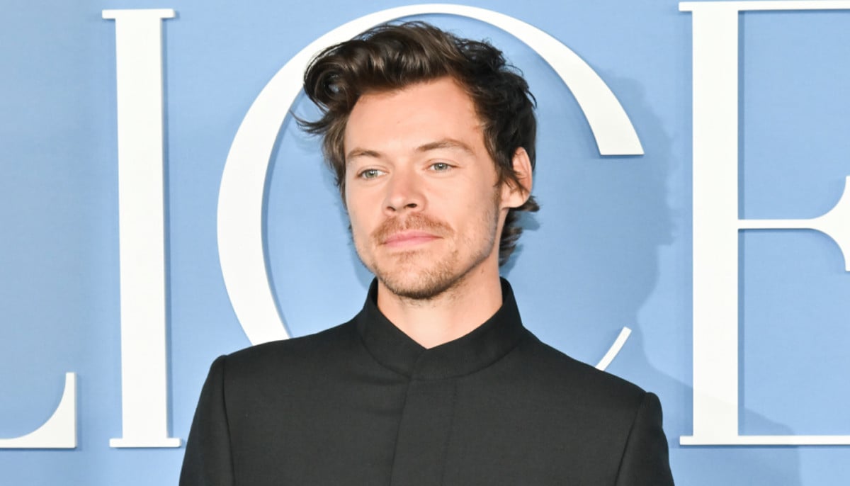Harry Styles makes heartfelt confession to fans: 'Thank you for the warmth'