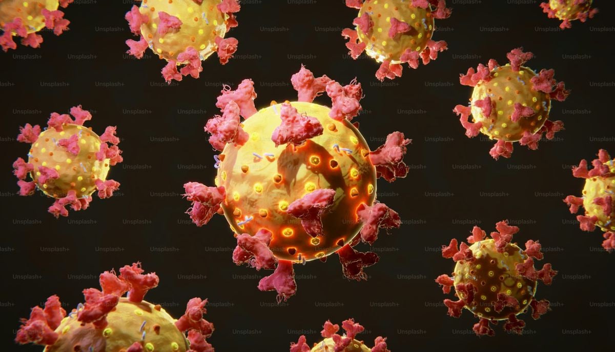 Scientists build AI tool to track tumor behaviour