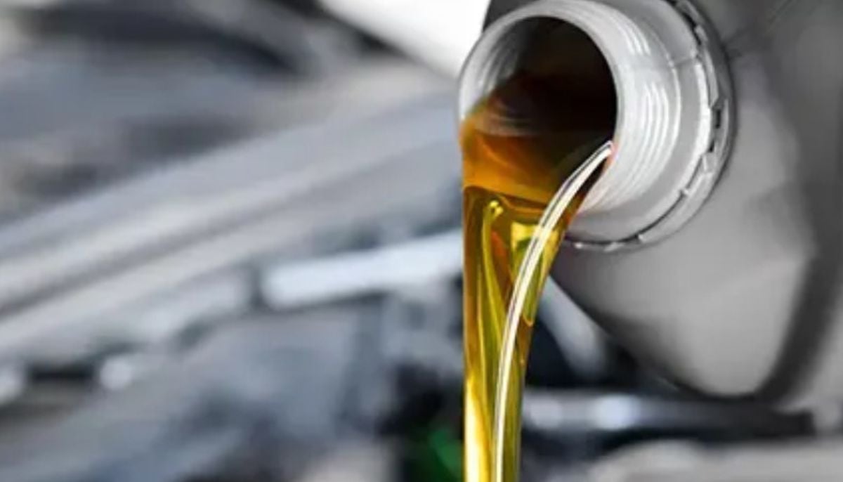 Oil crisis: Saudi cuts oil output as prices hit highest since 2022; G7 weighs stock release