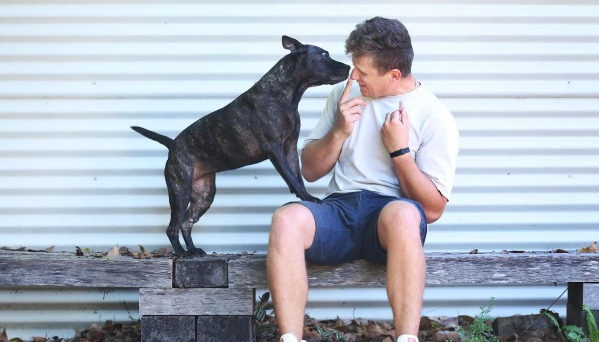 AI powers new experiment to treat canine cancer