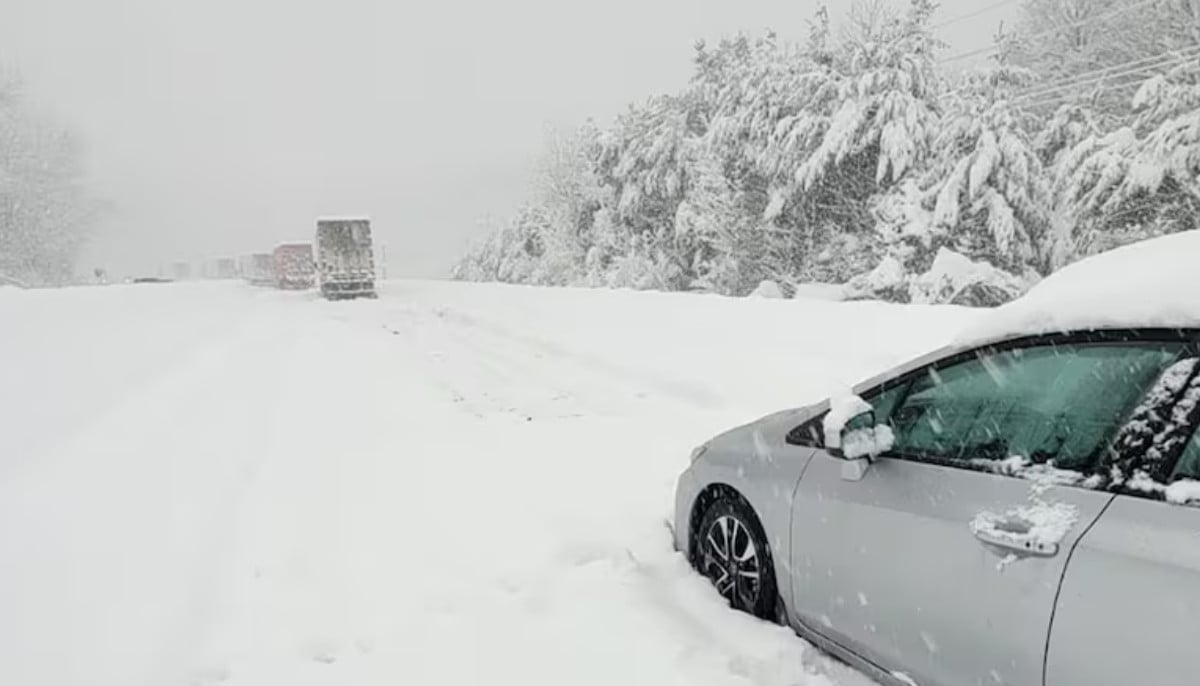 Heavy snow forecast for northern Ontario as snow squalls bring strong winds and poor visibility