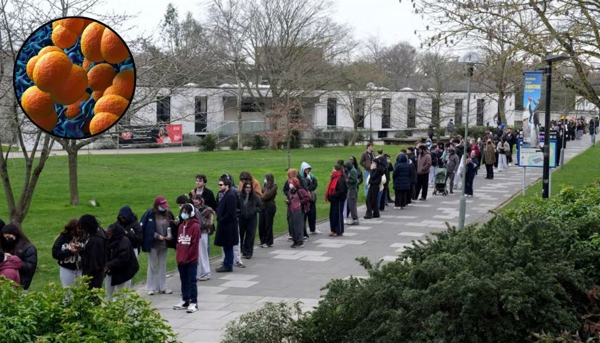 Deadly & less-targeted meningitis B confirmed as strain behind Kent outbreak 